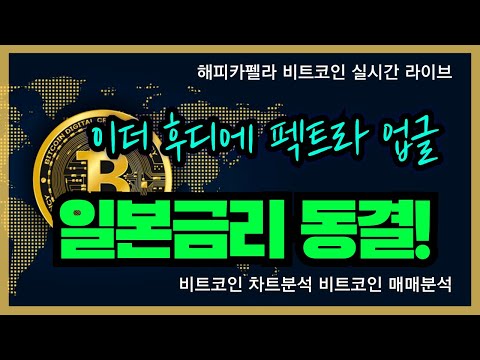 비트코인 실시간, 일본 기준금리 동결! 이더 후디에 펙트라 업그레이드! 3/19 점심💎#비트코인 #비트코인실시간 #이더리움 #리플 #cryptocurrency #차트분석