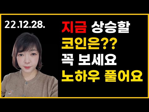 [12월 28일] 지금 상승할 코인은? 매매방법 노하우 대방출