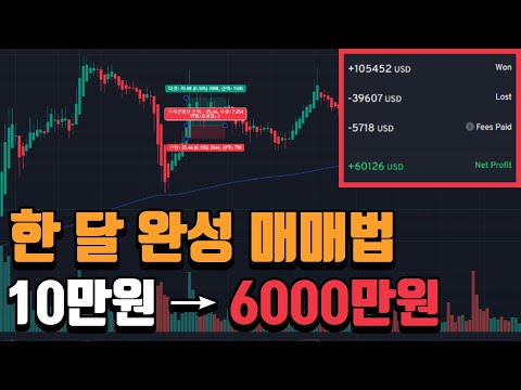 한 달 만에 10만원 → 6000만원 만든 매매법 분석