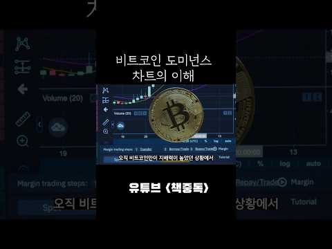 비트코인 도미넌스 차트의 이해