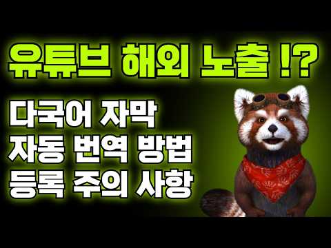 유튜브 해외 노출 다국어 자막 상세 설정 (feat. SUB, SMI, SRT 자막 등록 자동 번역 고급 번역 팁)